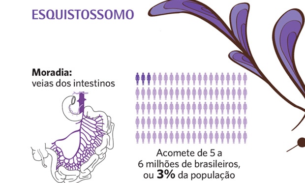 Quais são os vermes mais comuns no corpo humano?