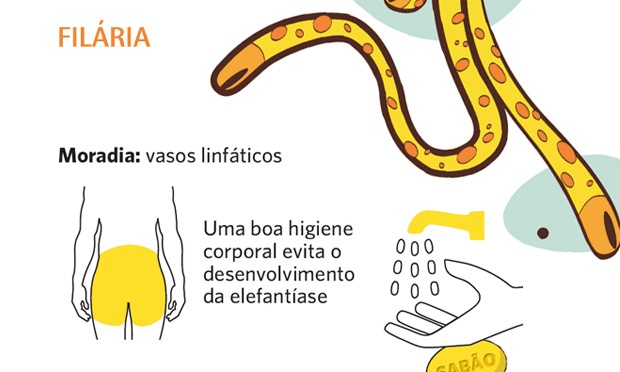Quais são os vermes mais comuns no corpo humano?