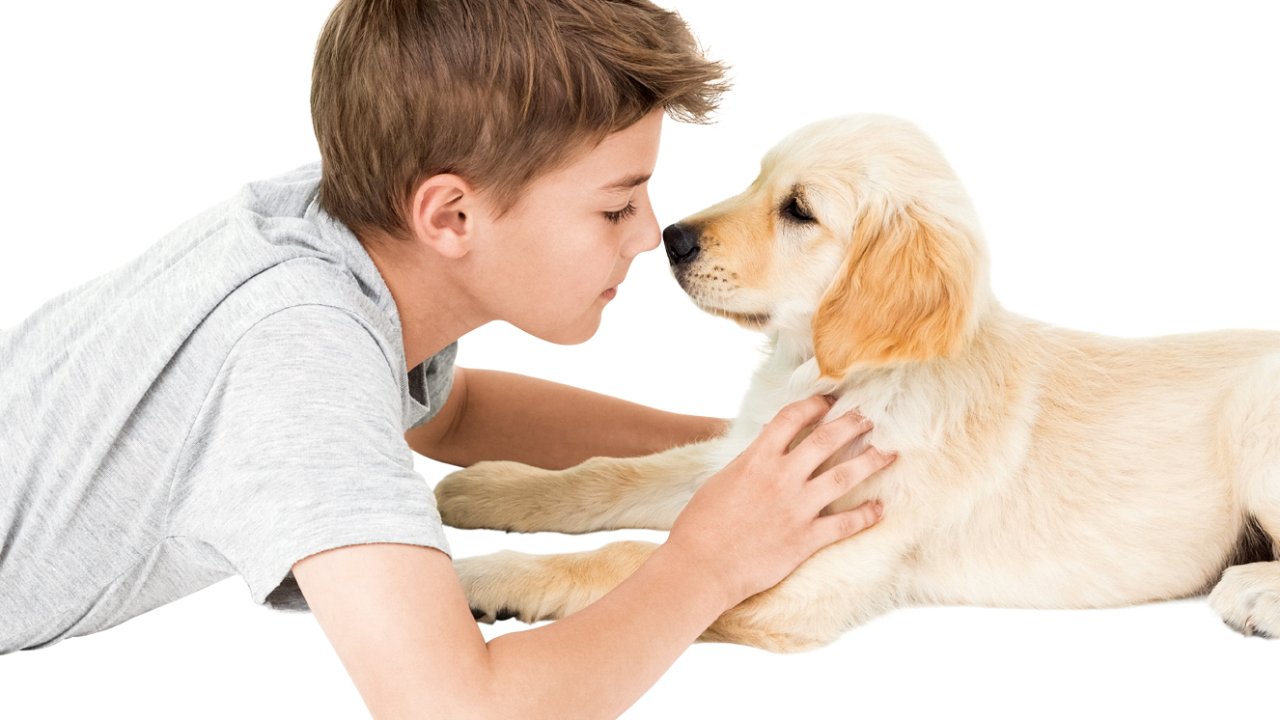 animais de estimação para autistas