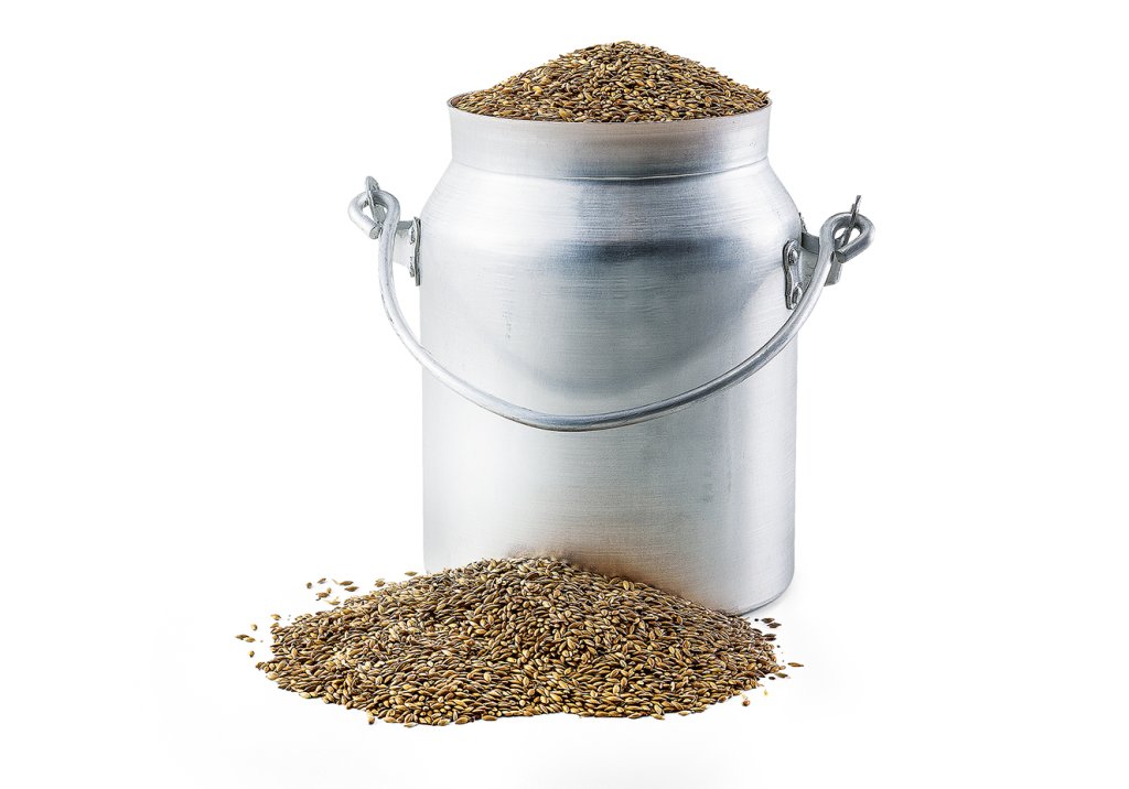 Leite de alpiste para controlar o diabete?