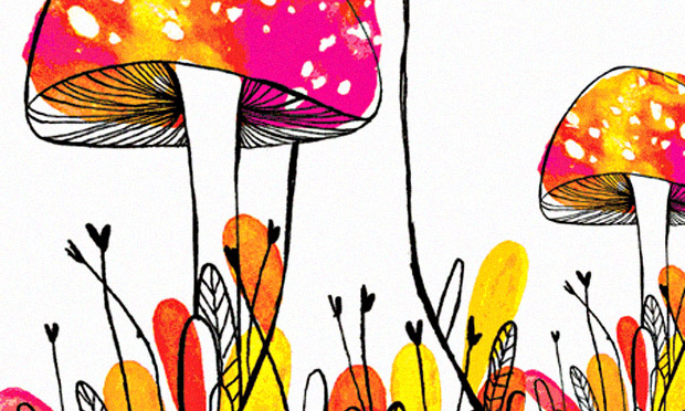 Reportagem: Caroline Randmer