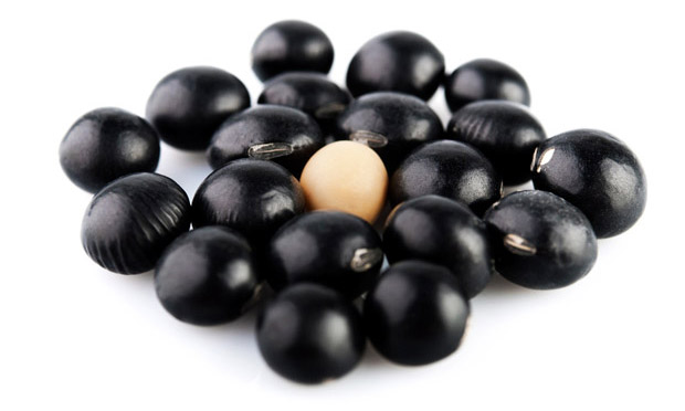 Soja preta Soja preta