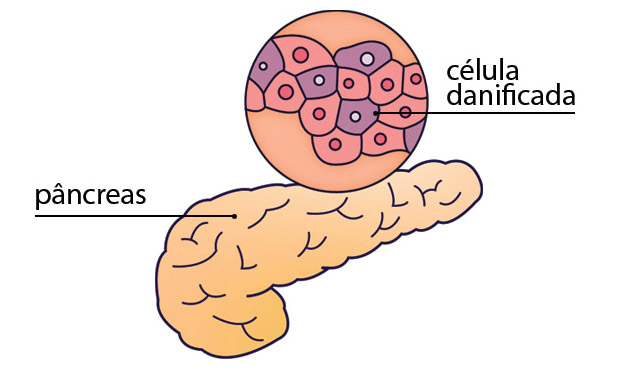 6. Glicose 6. Glicose