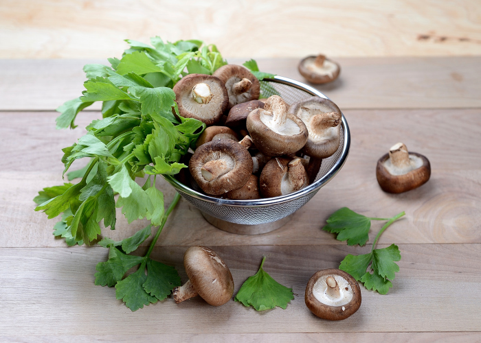 Imunidade: 4 alimentos para turbinar as defesas do corpo
