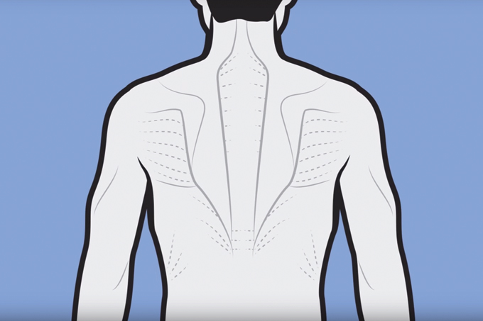 Quais exercícios protegem a coluna?