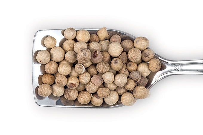 Pimenta-do-reino dá pedras nos rins?