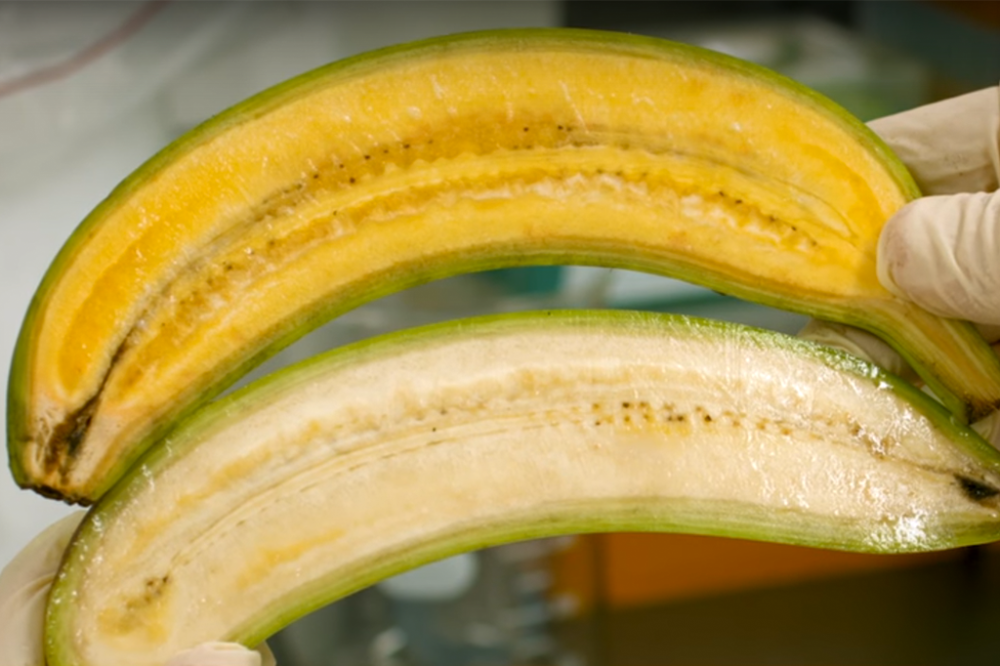 banana