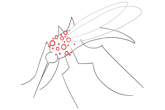 O que é o chikungunya