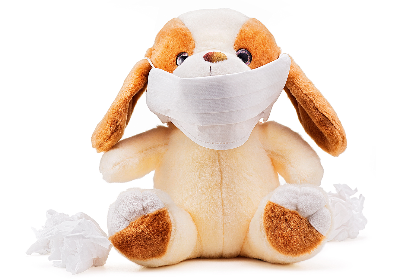 Doença do coração em animais