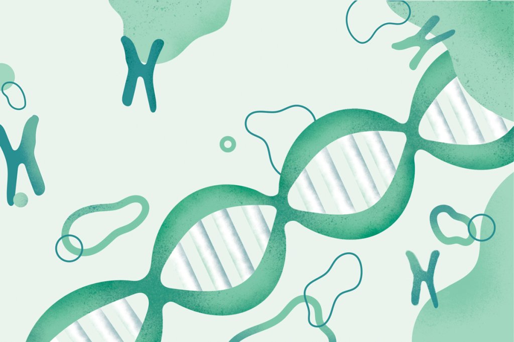 dna02_web
