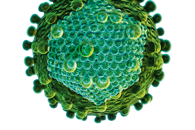 O salto do número de casos da hepatite A