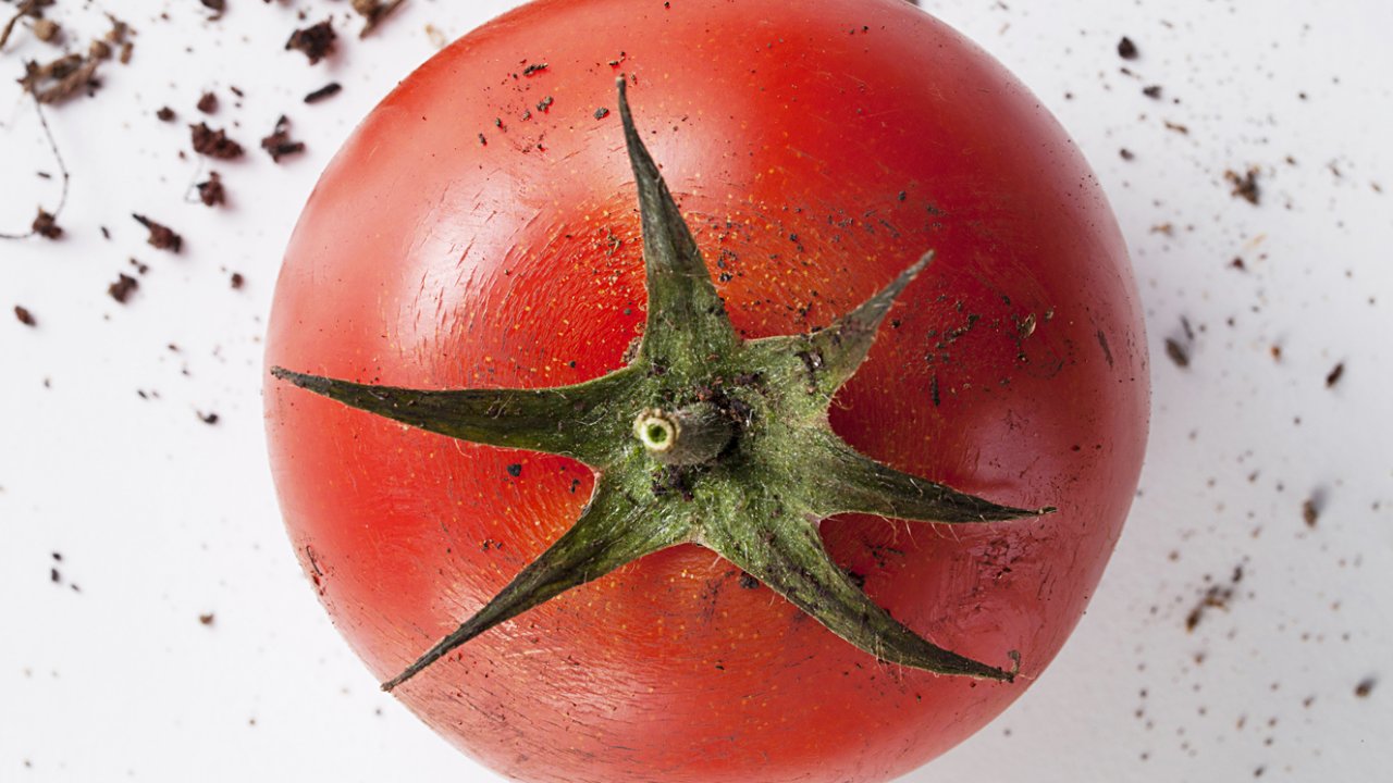 sustentabilidade e alimentacao