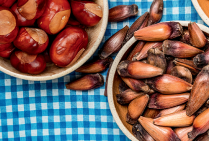 castanha portuguesa e pinhao: receitas de natal