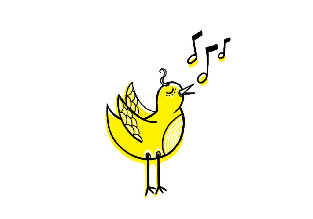 Animais exóticos são seres inteligentes e muito especiais