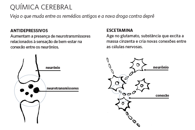 Química cerebral Química cerebral