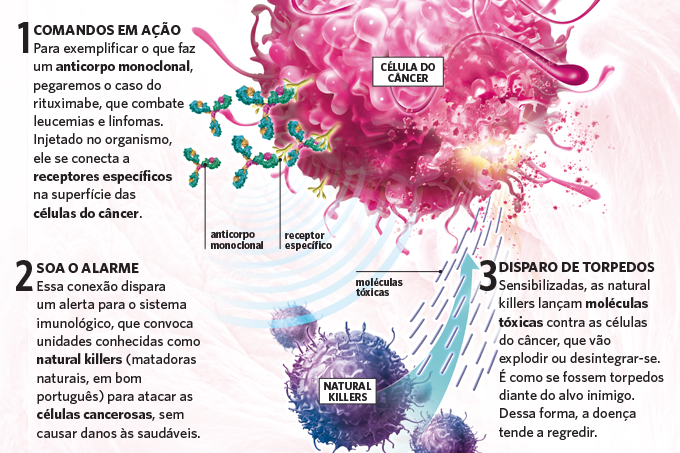 O que é um anticorpo monoclonal.