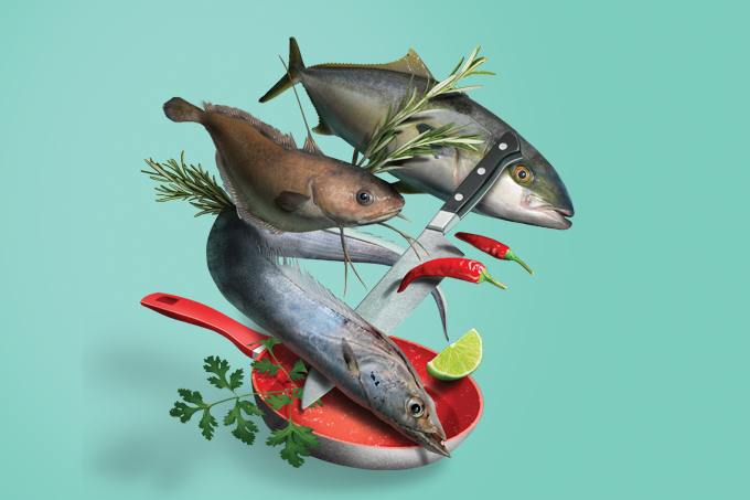 Um mar de peixes nativos e alternativos para desbravar