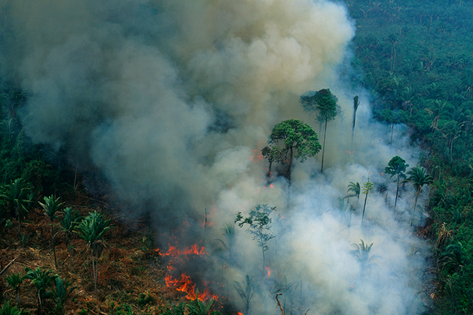 dia mundial do meio ambiente 2020