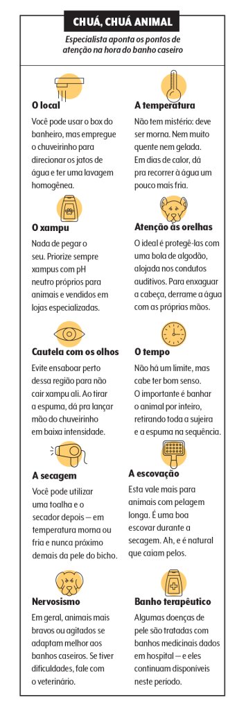 cuidados com o banho do pet em casa cuidados com o banho do pet em casa