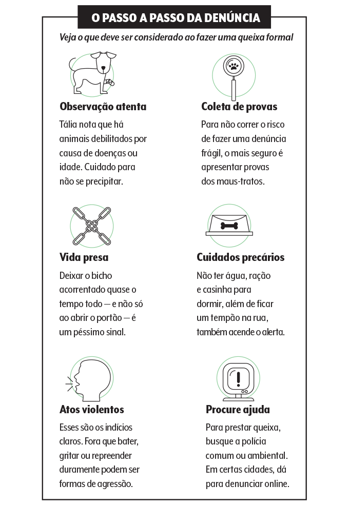 bichos-quadro bichos-quadro