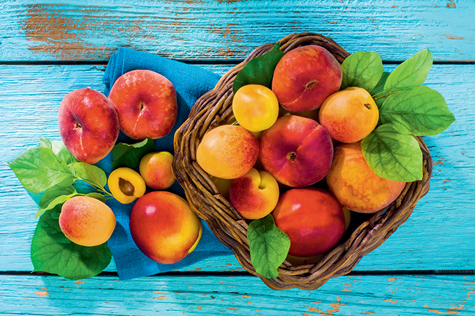 Damasco: boa companhia que vem do Oriente