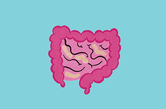 vermes intestino ilustração de vermes no intestino