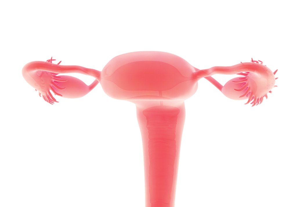 Maioria das brasileiras é diagnosticada com câncer de ovário já avançado
