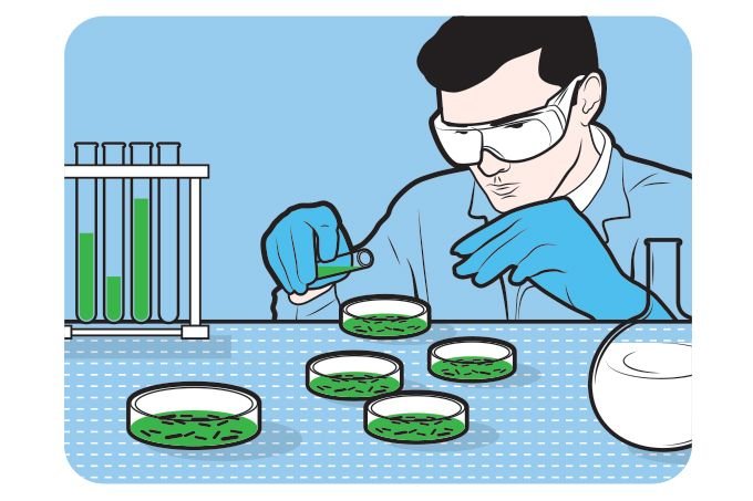 Biocurativo inteligente feito de células-tronco trata lesões e queimaduras