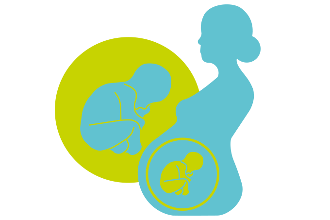 ilustração mostra gestante de perfil com representação do bebê dentro da barriga