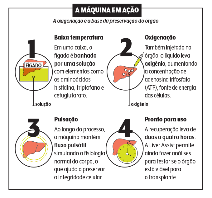 INFOGRÁFICO DA MÁQUINA EM AÇÃO