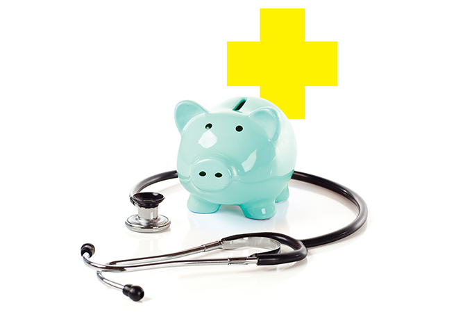 Plano de saúde para os pets