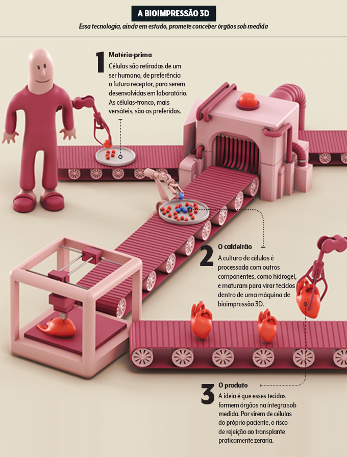 Infográfico de como funciona a bioimpressão