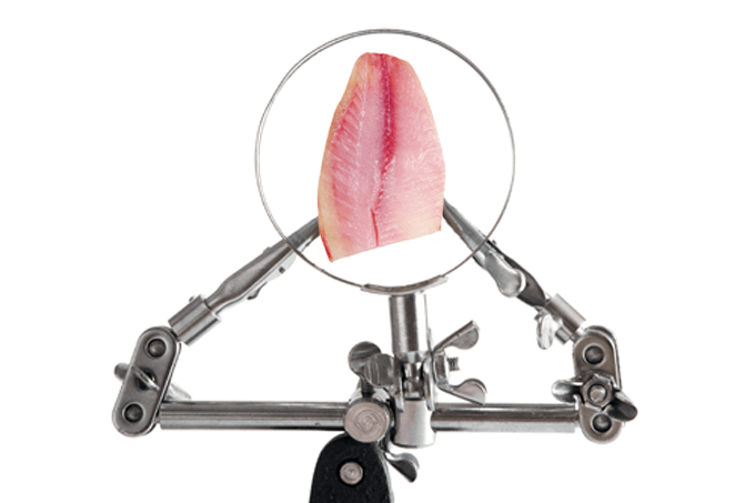 Peixe feito em laboratório