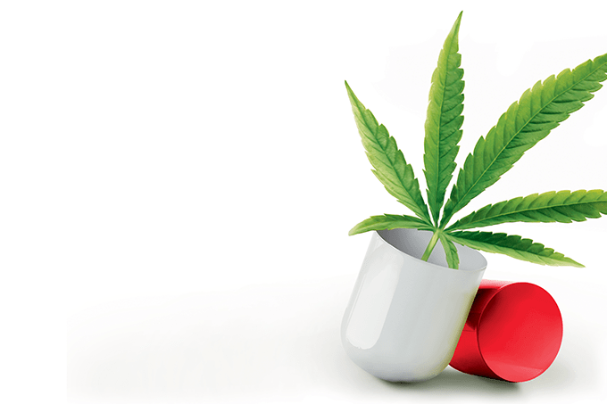 Panaceia da cannabis medicinal é discutida em congresso de neurociência