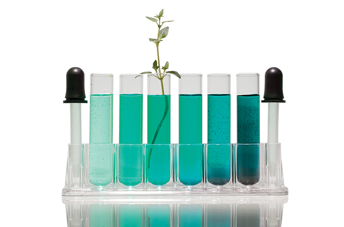 Biodiversidade brasileira: transformando a natureza em soluções de saúde