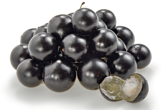 Da jabuticaba se aproveita até o caroço