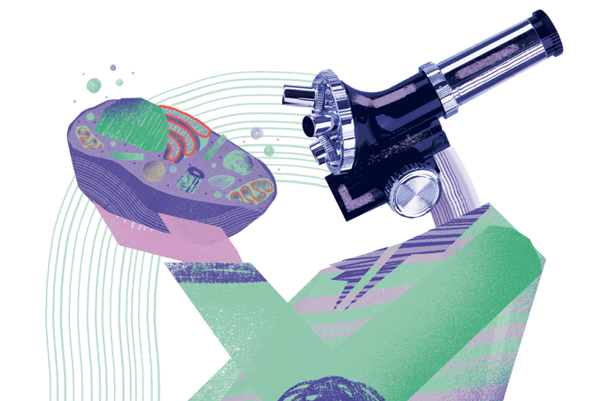 Radar da saúde: as descobertas do atlas das células humanas