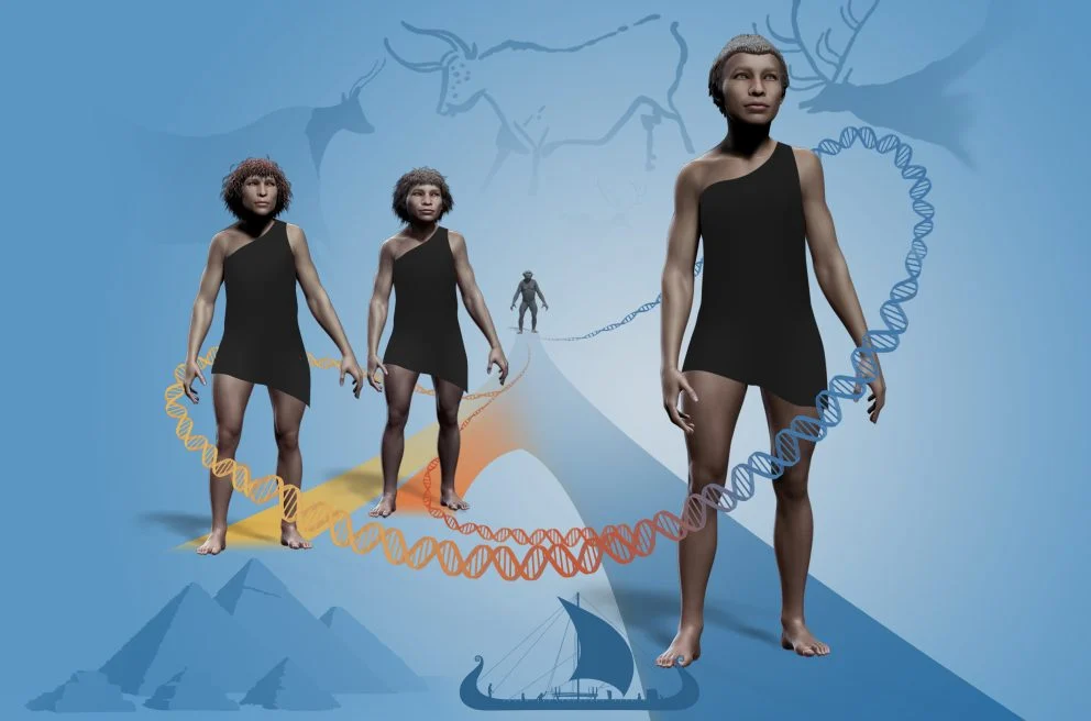 Ilustração da espécie humana (à direita) ao lado de exemplares dos Neandertais e denisovanos.