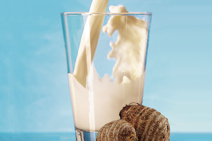 Leite vegetal à base de inhame