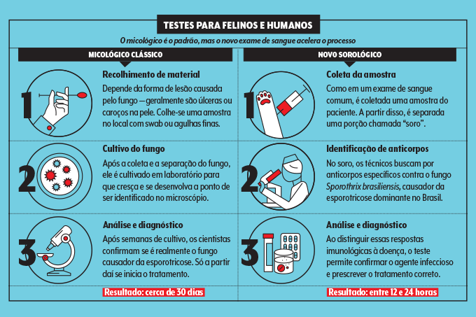 485_bichos_exame-zoonose-esquema comparação de exames para detecção de esporotricose