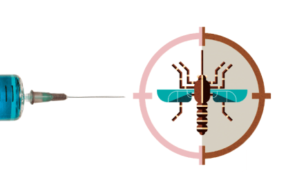 quais são os sintomas da dengue