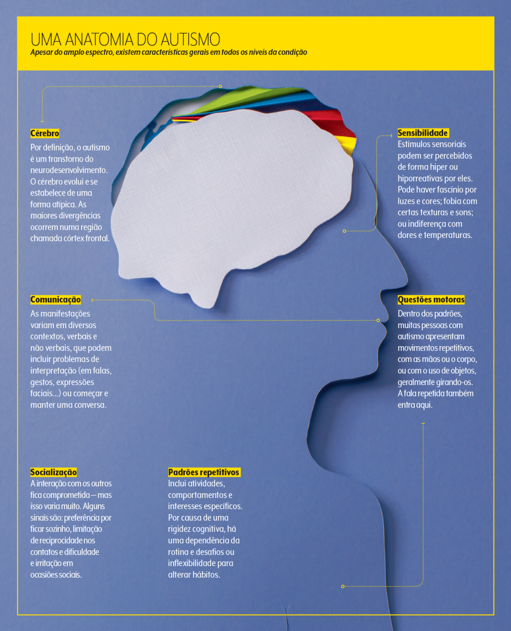 anatomia do autismo