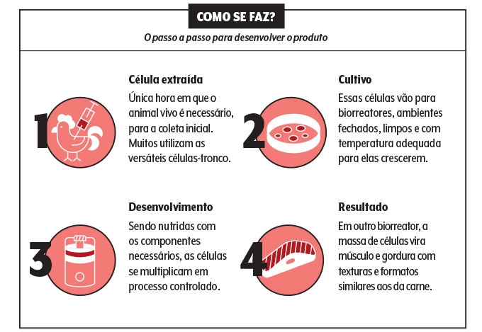 alimentacao-carne-cultivada-laboratorio-info alimentacao-carne-cultivada-laboratorio-info