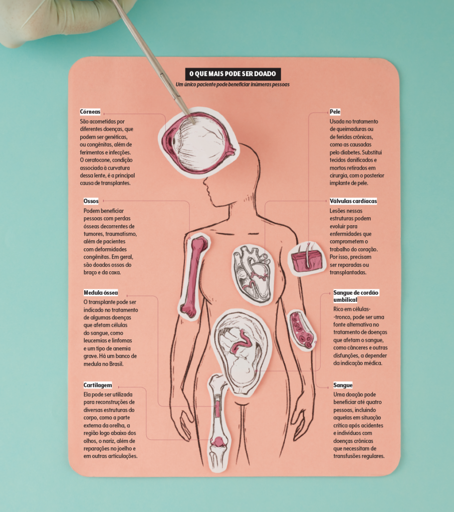 496-materia-doacao-orgaos-quadro-outros