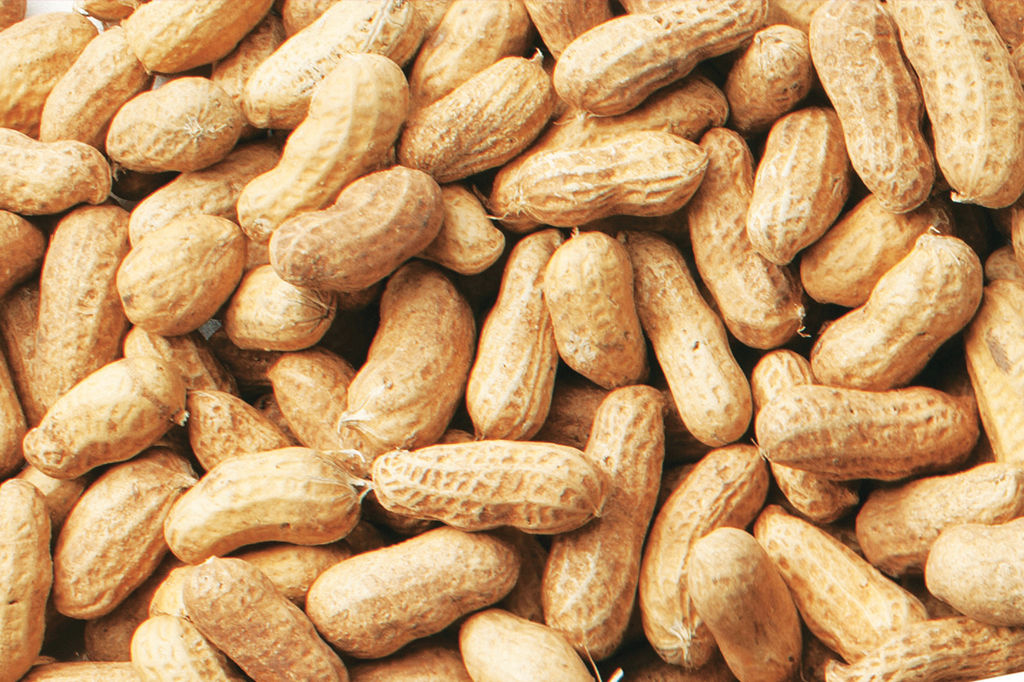 O amendoim está com tudo