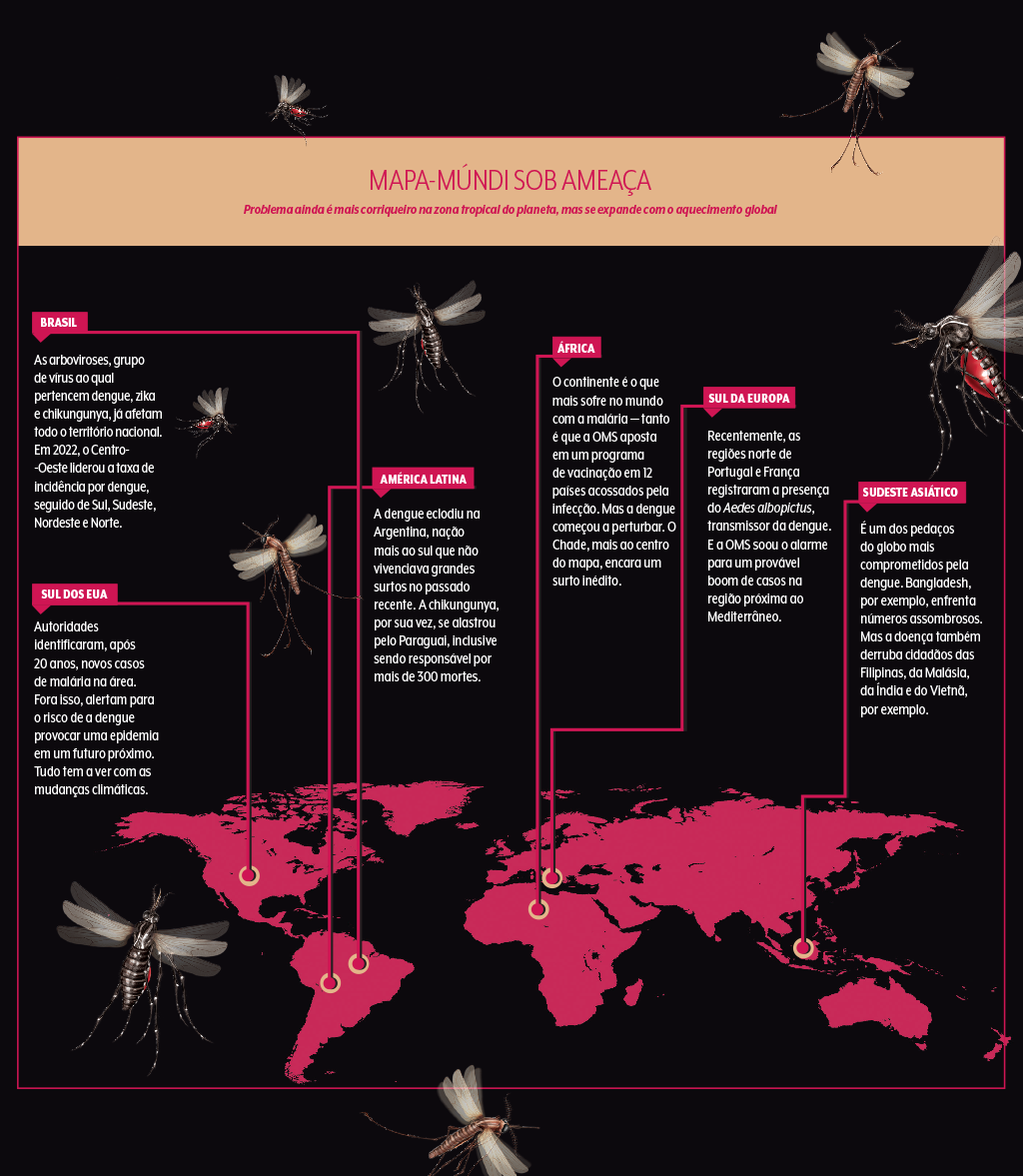 497-materia-mosquitos-quadro-mapa-mundi 497-materia-mosquitos-quadro-mapa-mundi