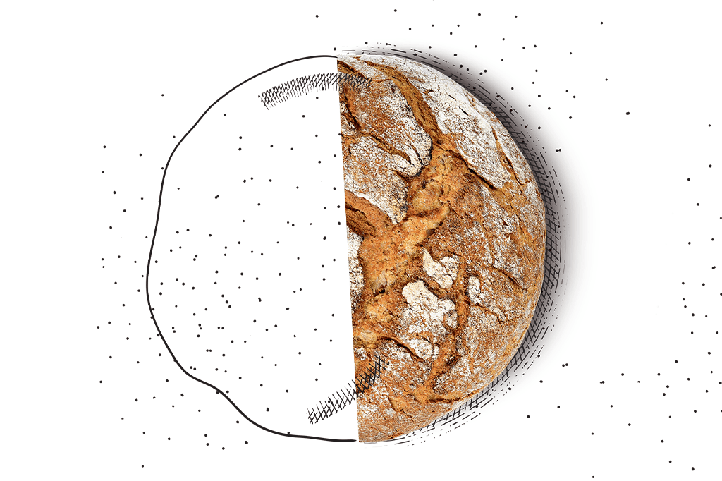 Você já fez uma dieta low carb?