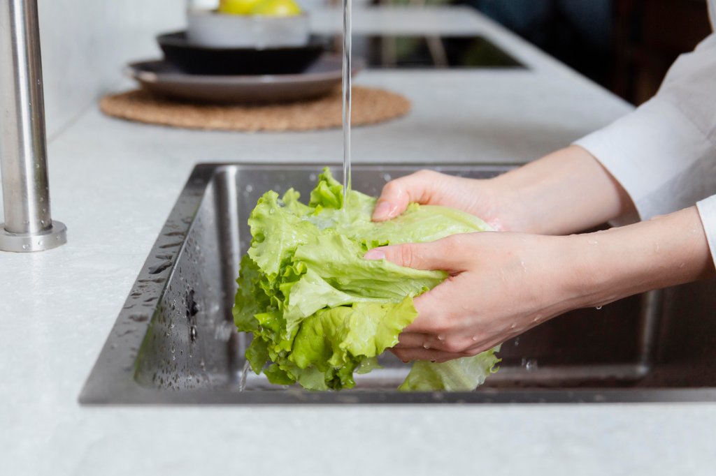 saude-doencas-toxoplasmose-prevencao-higienizacao-alimentos saude-doencas-toxoplasmose-prevencao-higienizacao-alimentos