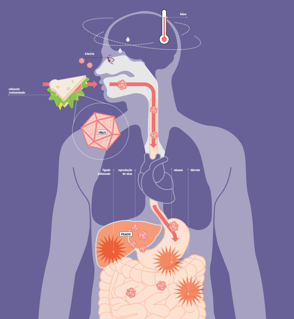 saude-vacina-imunizante-prevencao-hepatite-a-arte saude-vacina-imunizante-prevencao-hepatite-a-arte