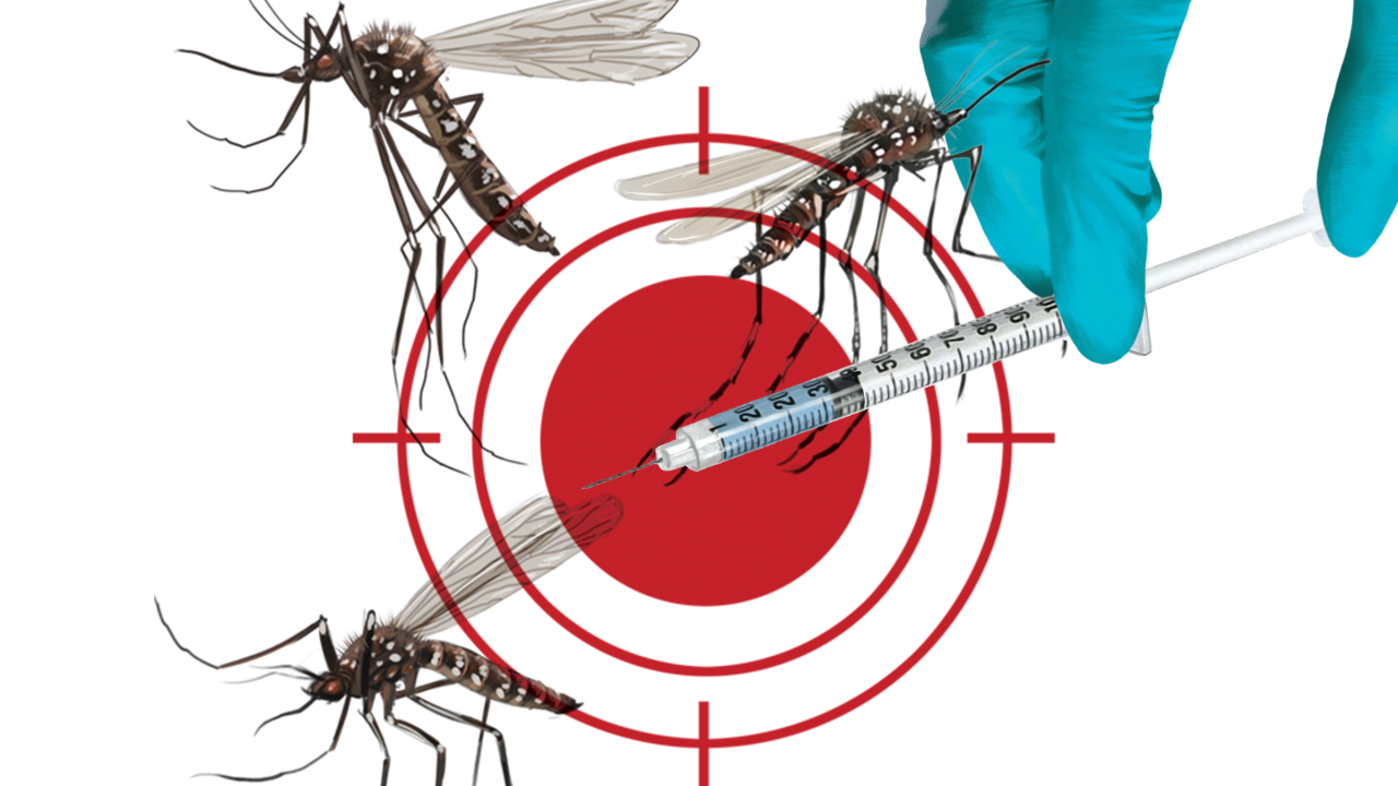 dengue-no-brasil-em-2024-sintomas